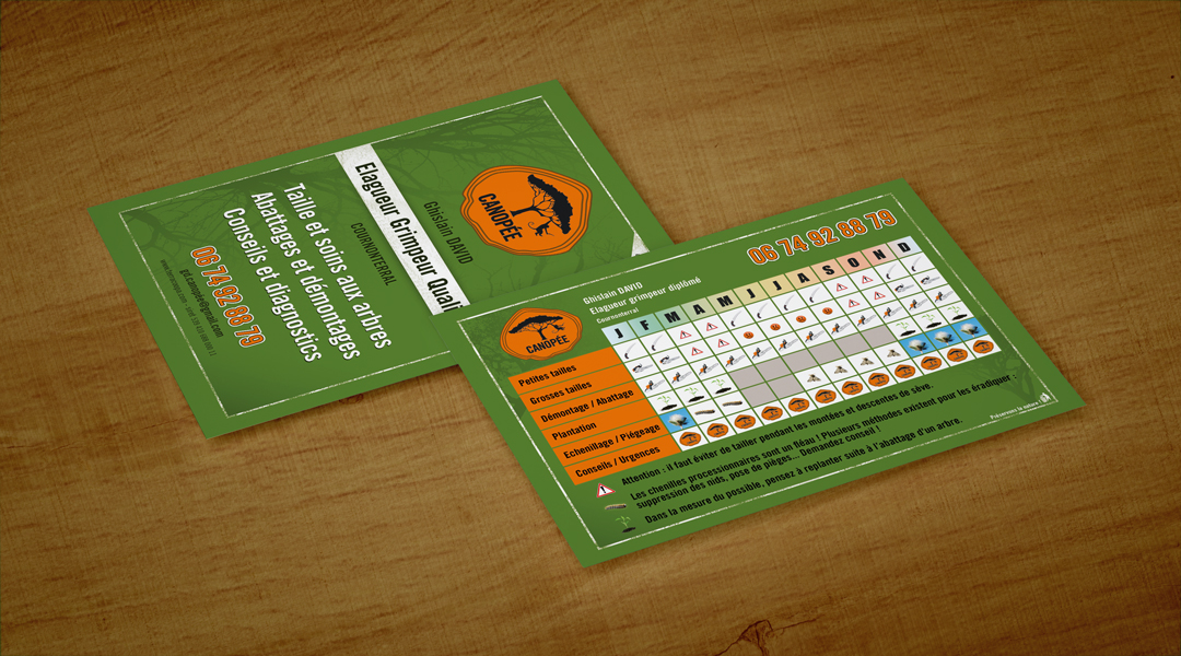 Flyers Canopée - Élagueur Grimpeur